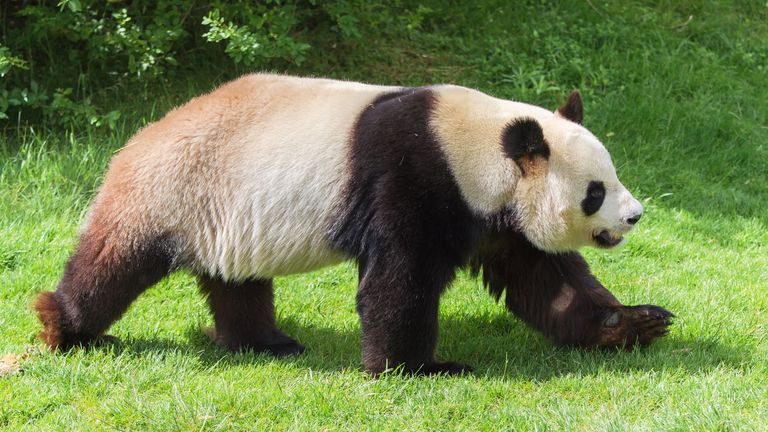 Optimising Pandas for ease of data computation